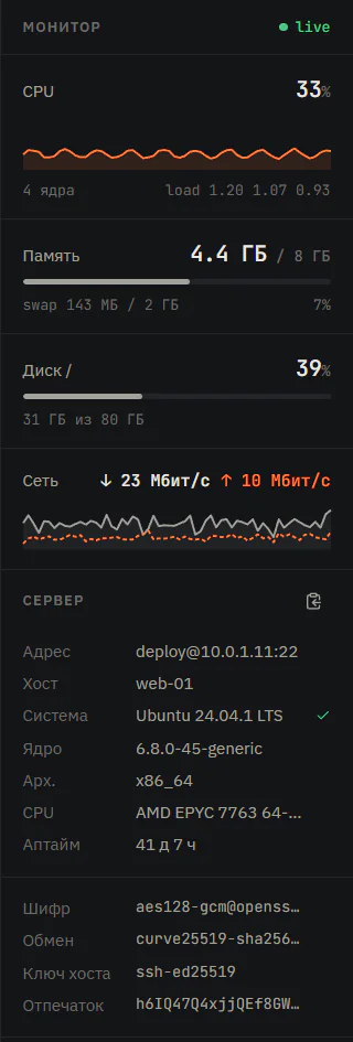 Панель «Монитор» в ServMan: графики CPU и сети, память, диск и блок «Сервер» с адресом, ОС, ядром, CPU и отпечатком ключа